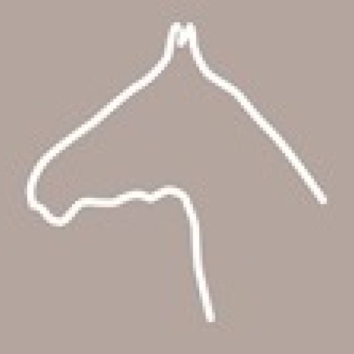 Конный клуб Few Horses