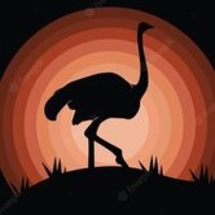 Ферма Русский страус